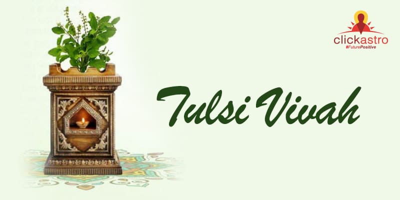 Tulsi Vivah 2024: Sacred union of Lord Vishnu and Goddess Tulsi